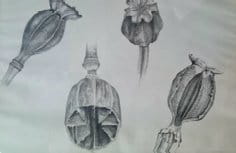 Heather Clifford's art on the Marshian Arts Trail (July 2025)