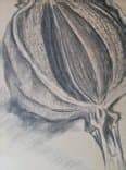 Heather Clifford's art on the Marshian Arts Trail (July 2025)