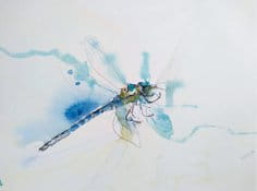 Nina Bensley's art on the Marshian Arts Trail (July 2025)